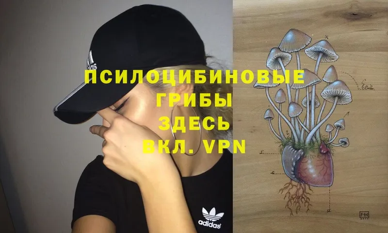 Галлюциногенные грибы Magic Shrooms  blacksprut ССЫЛКА  Карпинск 